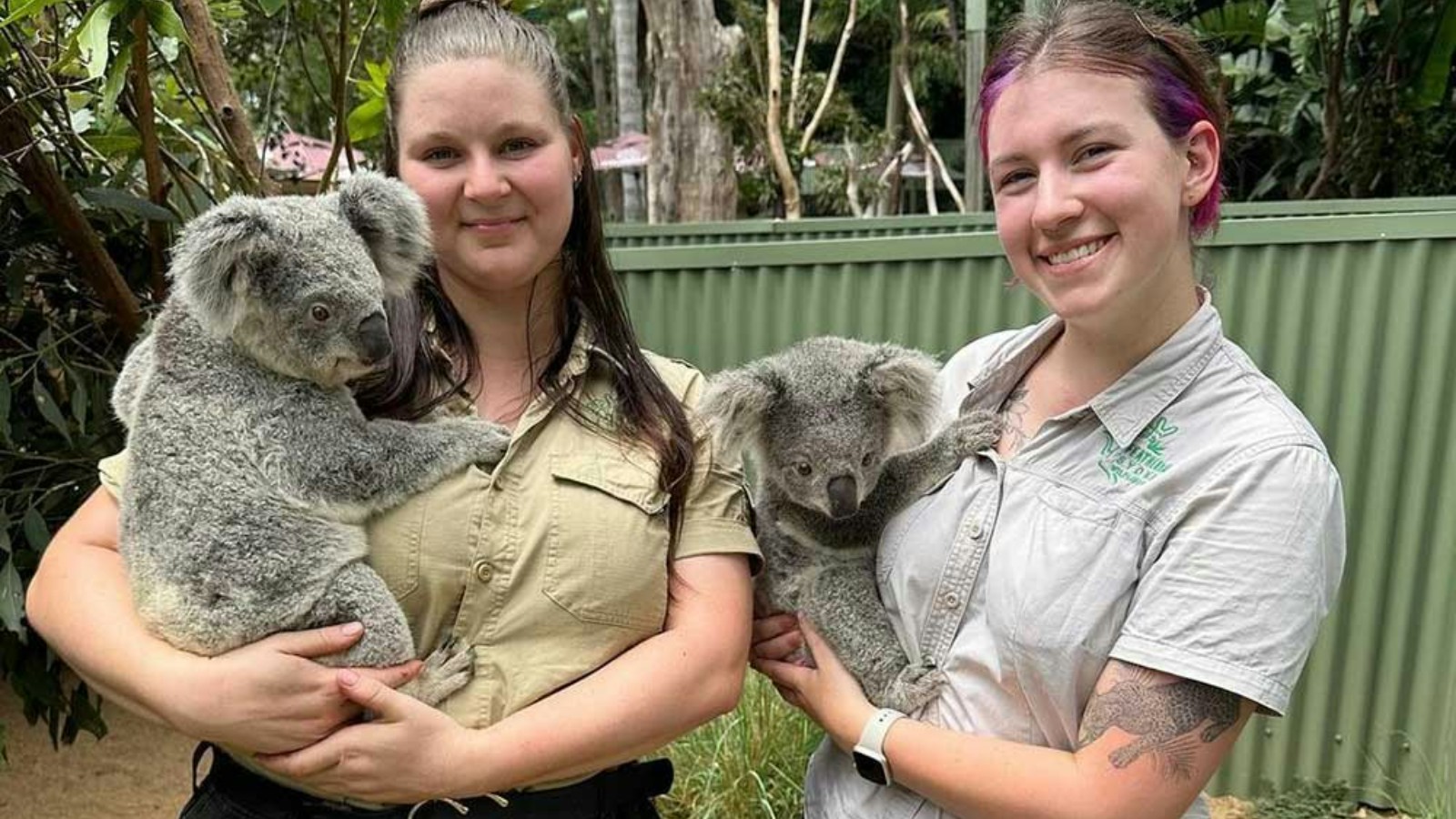 Koala Encounter at Featherdale Wildlife Park